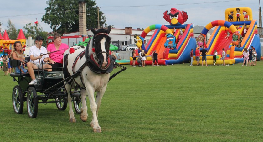 GOKiS STERDYŃ I BOŻENA GONTARZ-GÓRZNA