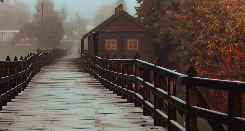 FOT. MONIKA KUTKOWSKA