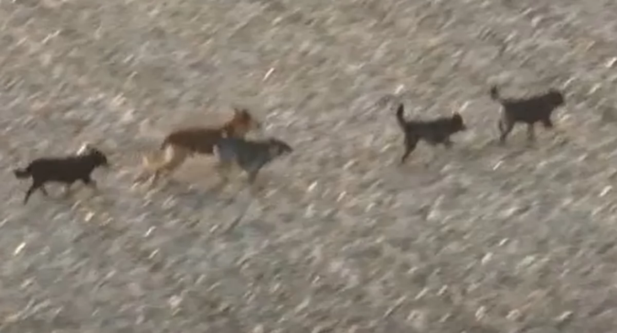 FOT. SCREEN Z YT/SUPERESXPRESS