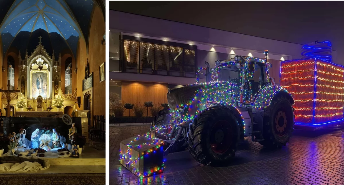 Święta i obchody, Szopki choinki świąteczne dekoracje [FOTOGALERIA] - zdjęcie, fotografia