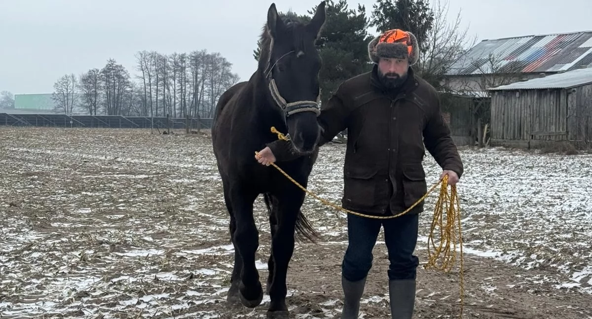 Interwencje i pomoc, Radny Maciej Osiński nietypowa akcja poszukiwawcza sylwestrowej - zdjęcie, fotografia