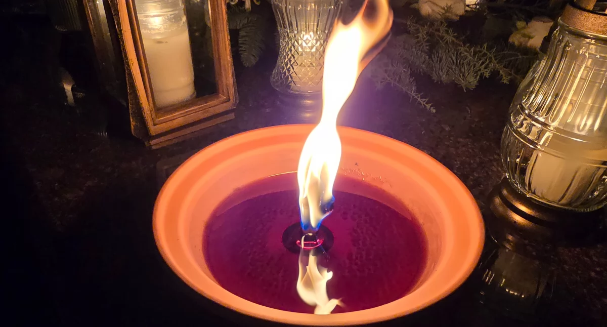 Ludzie, Odeszli stycznia) - zdjęcie, fotografia