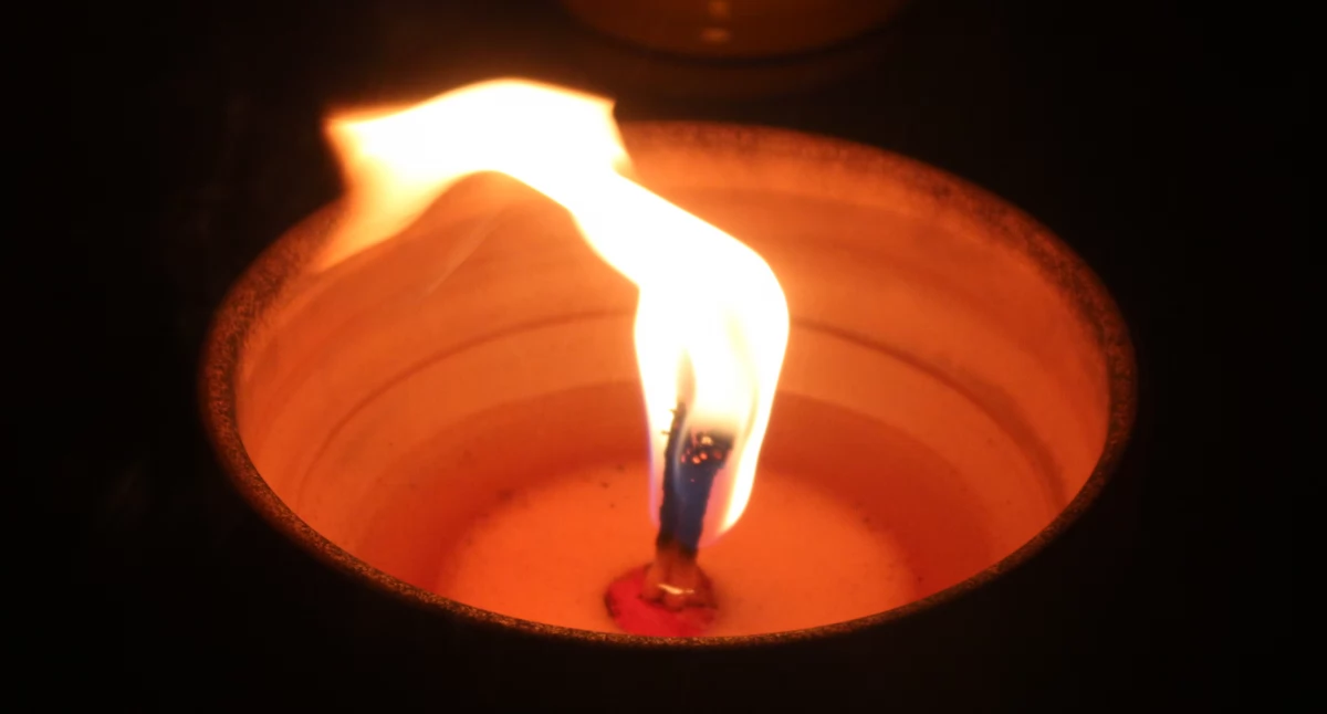 Ludzie, Odeszli lutego marca) - zdjęcie, fotografia