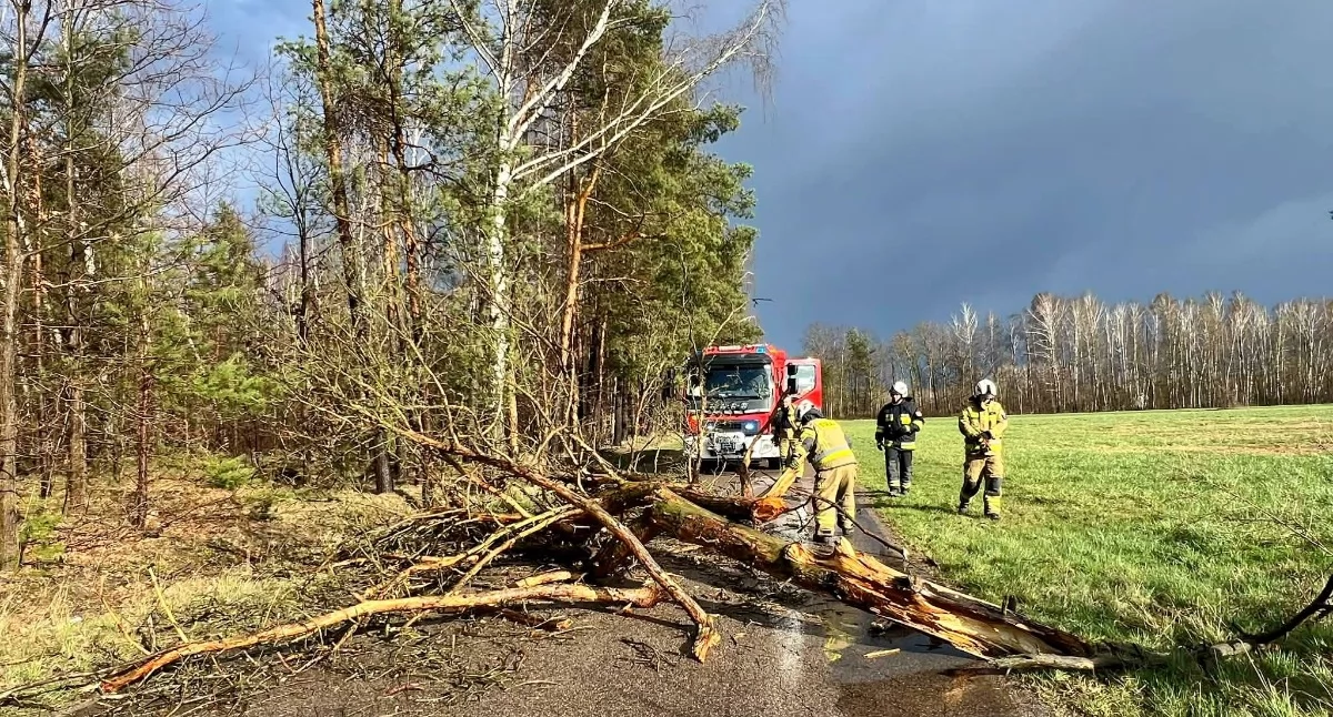 Straż pożarna, Wichura powiatem kiedy przestanie wiać - zdjęcie, fotografia