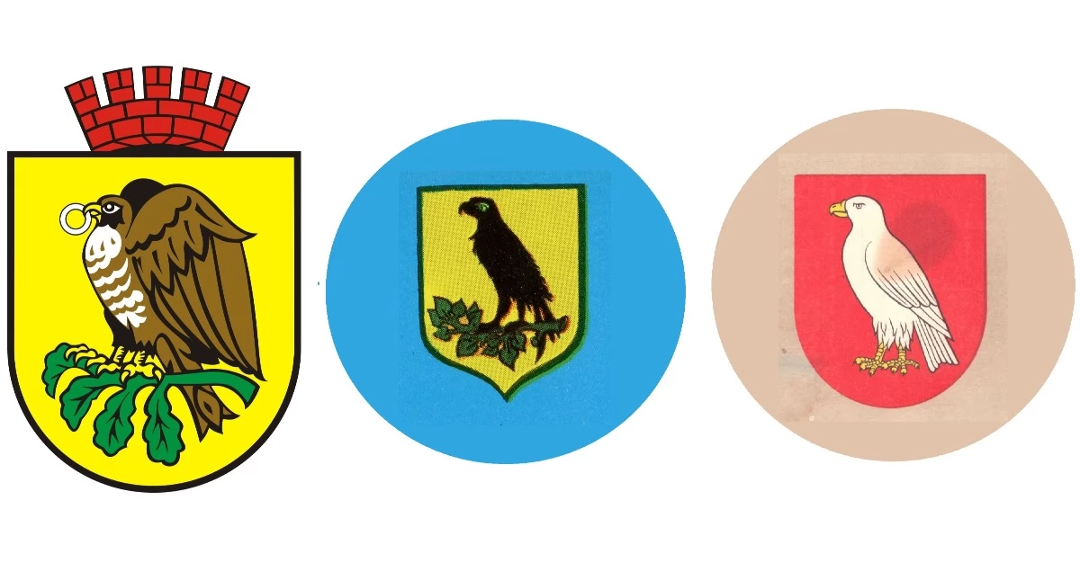 Od lewej: obecny herb miasta autorstwa Andrzeja Markusza, poprzedni - projekt Andrzeja Kublika i herb Sokołowa z 1847 r.