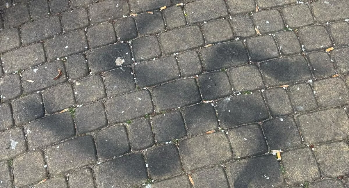 Kronika kryminalna, letni Ukrainiec namalował swastyki napis Waffen sokołowskim Bulwarze! - zdjęcie, fotografia