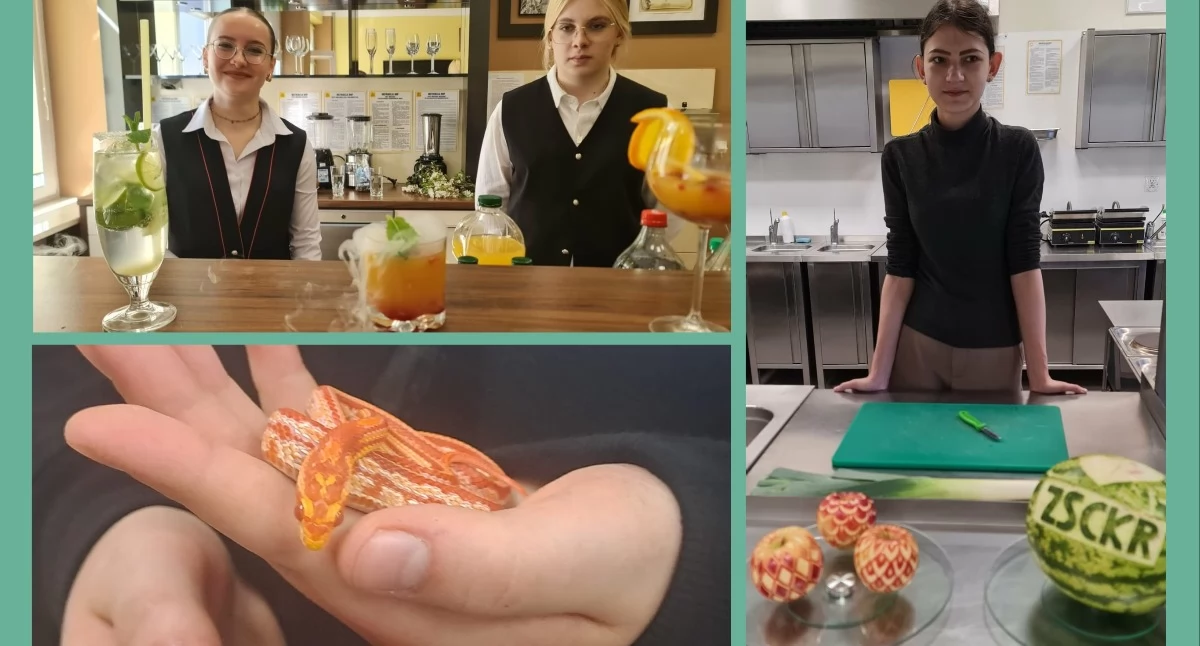 Edukacja, osób gościło sokołowskim „Rolniku” czasie Otwartego - zdjęcie, fotografia