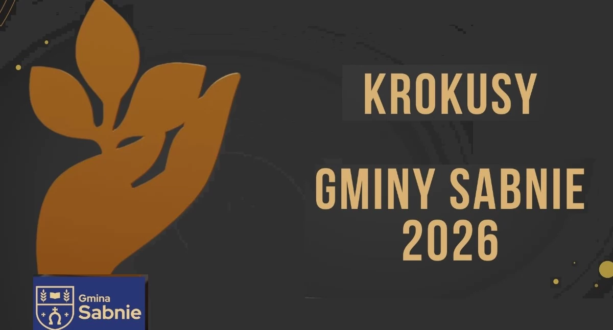 Ludzie, Rusza konkurs Krokusy Gminy Sabnie - zdjęcie, fotografia