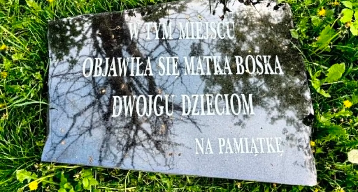 Sprawy urzędowe, Radny Landzberg wszczął śledztwo Władza szuka autora tablicy umieszczonej Stawie Mazura! - zdjęcie, fotografia