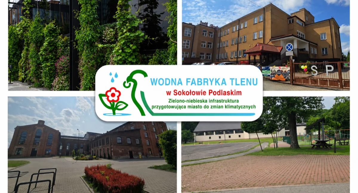 Inwestycje, Miasto dostało wielki ekoprojekt Sokołów Podlaski stać wizje burmistrz Iwony Kublik - zdjęcie, fotografia