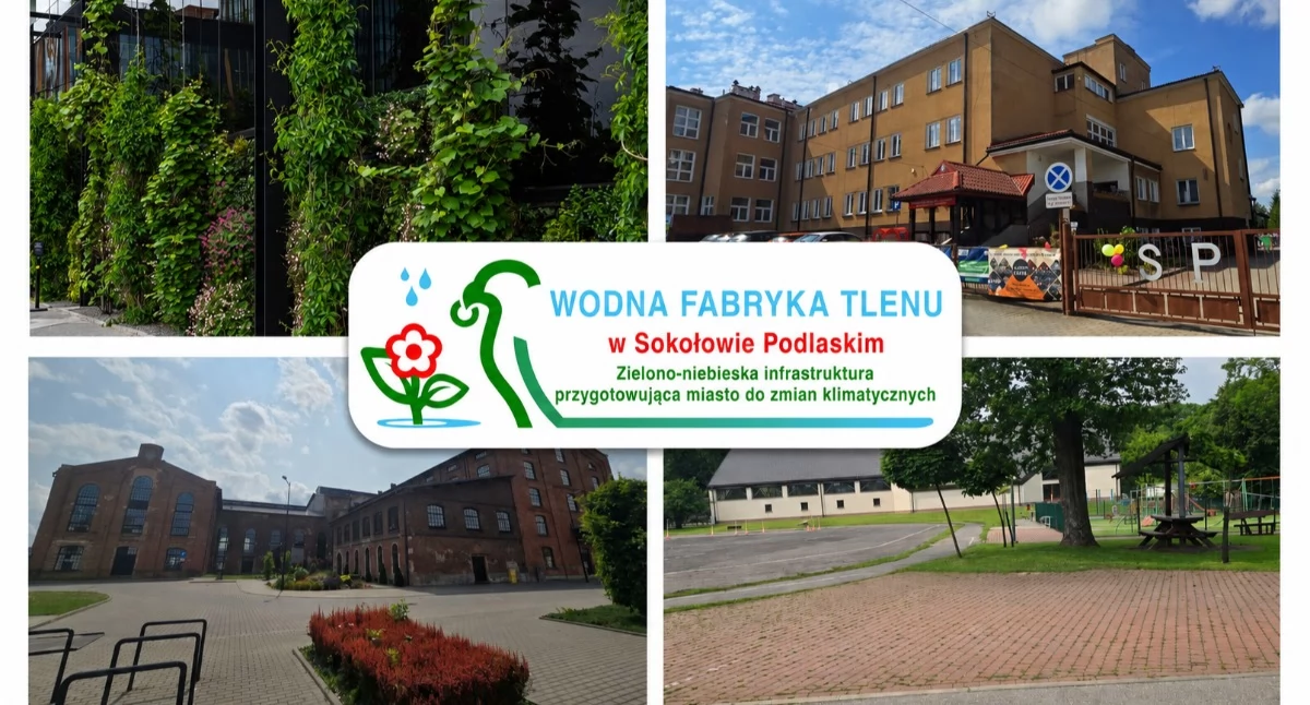 Inwestycje, Sokołów Podlaski dostał ogromny ekoprojekt miasto stać plany burmistrz Iwony Kublik - zdjęcie, fotografia