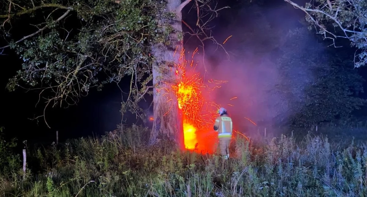 Straż pożarna, Nocna akcja strażaków Drzewa zapaliły uderzeniu pioruna - zdjęcie, fotografia