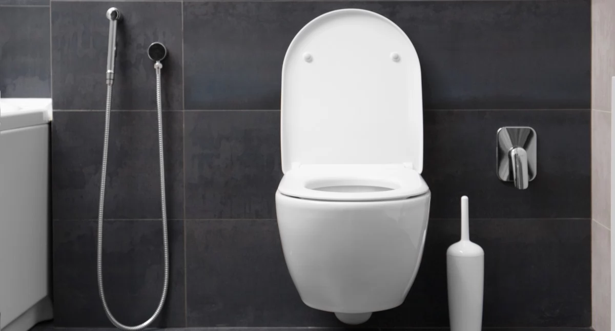 Promocja, Bidet toaleta myjąca Porównanie - zdjęcie, fotografia
