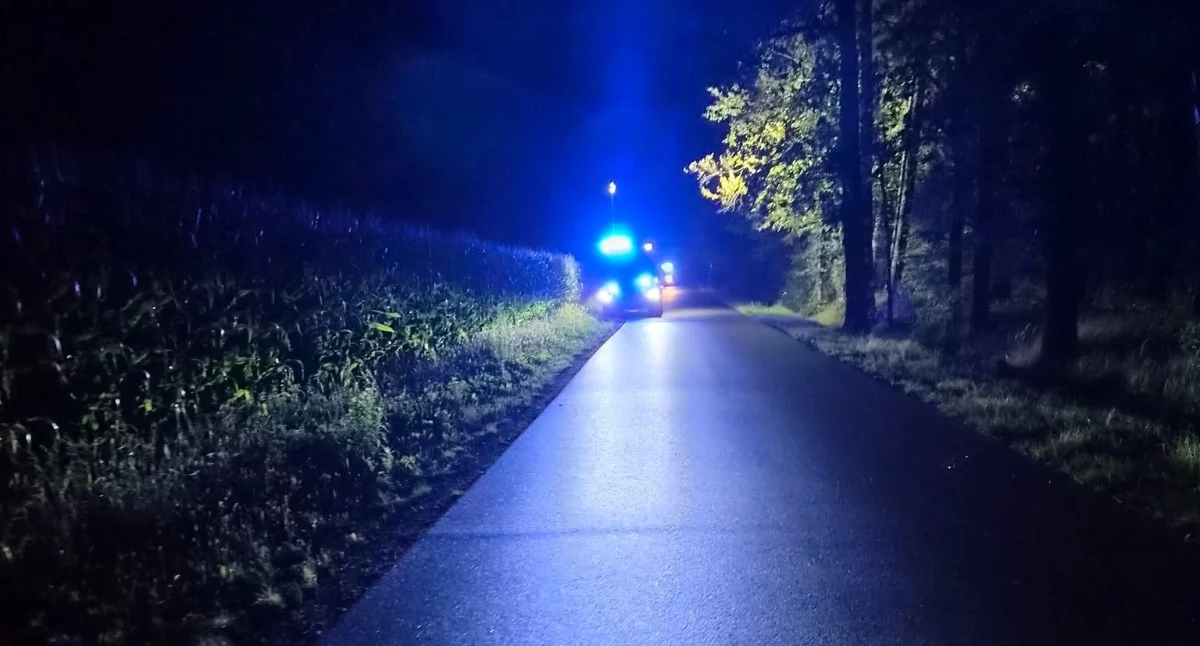 Kronika kryminalna, Nocne poszukiwania latka Znaleziono leżącego kukurydzy - zdjęcie, fotografia