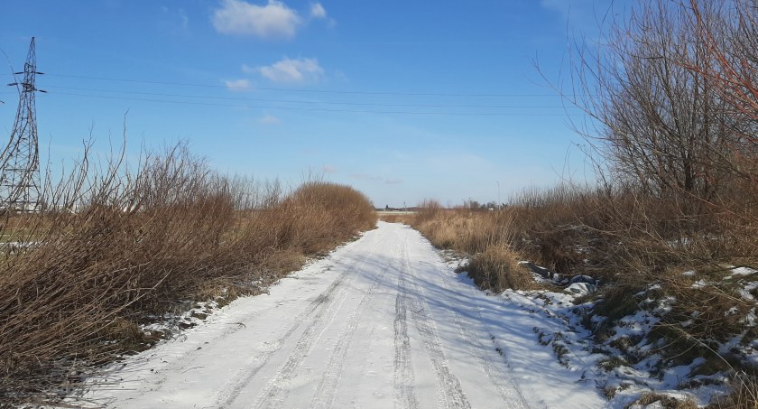 Zwłoki Nadii Y. znaleziono w rejonie dawnego wiaduktu kolejowego przy ul. Ząbkowskiej