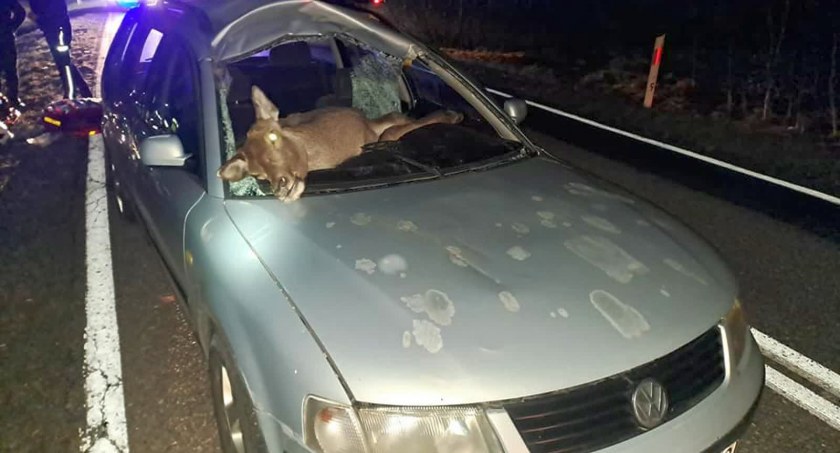 Zdjęcie ze zdarzenia, do którego doszło 16 marca w powiecie lubartowskim. Kierowcy nic się nie stało. FOT. OSP KAZNÓW