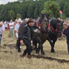 zdjęcie nr 116