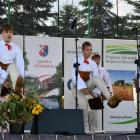 zdjęcie nr 18