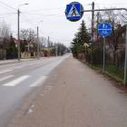 Fotka nr 3 z 11