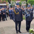 zdjęcie nr 172