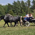 zdjęcie nr 77