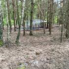 Fotka nr 3 z 13