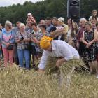 zdjęcie nr 35