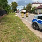 Fotka nr 5 z 9