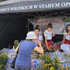 zdjęcie nr 94
