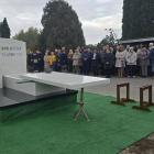 zdjęcie nr 33