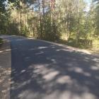 Fotka nr 5 z 17