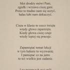 zdjęcie nr 25