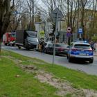 Fotka nr 2 z 4