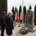 zdjęcie nr 14