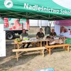 zdjęcie nr 76