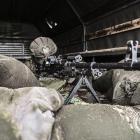 Fotka nr 4 z 19