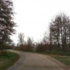 Fotka nr 3 z 6