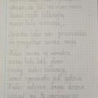 zdjęcie nr 31