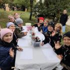 zdjęcie nr 18