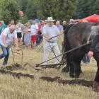 zdjęcie nr 118