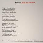 zdjęcie nr 8