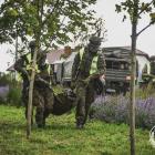 Fotka nr 1 z 19