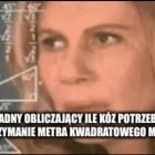 zdjęcie nr 10