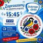 zdjęcie nr 9