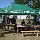 zdjęcie nr 42