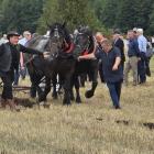 zdjęcie nr 115