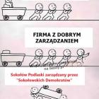 zdjęcie nr 11