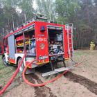 Fotka nr 2 z 16