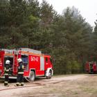 Fotka nr 4 z 17