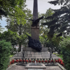 zdjęcie nr 8